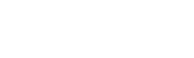 logo-credrisk-mds-neg