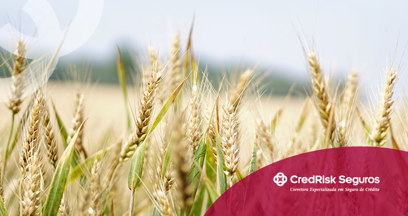 Seguro Agroclimático