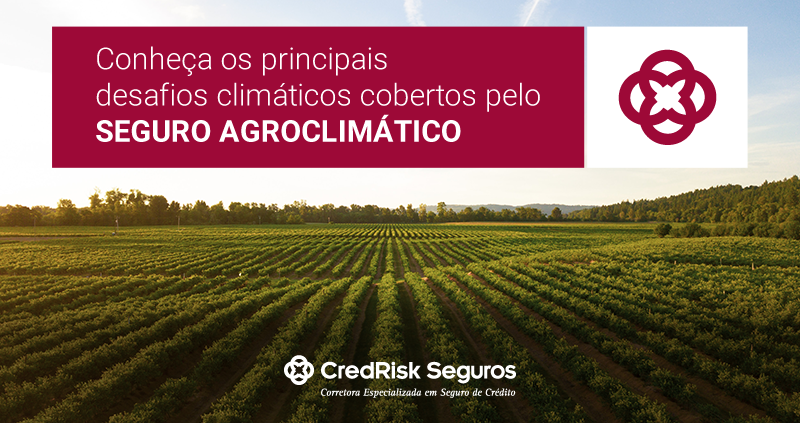 Seguro Agroclimático