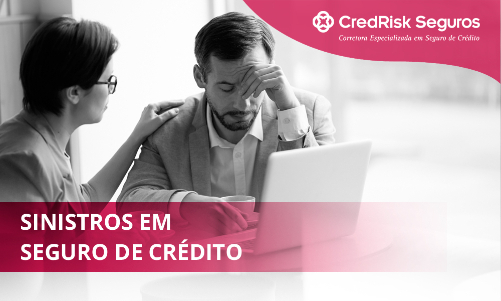 Sinistros em Seguro de Crédito