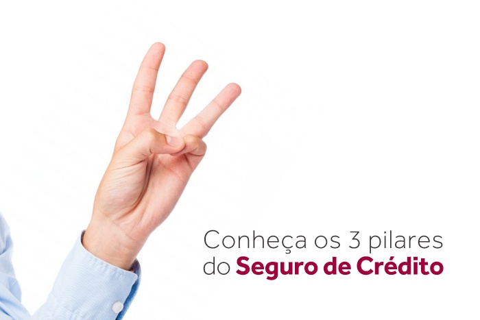 Conhec_a-os-3-pilares-do-Seguro-de-Cre_dito-Blog